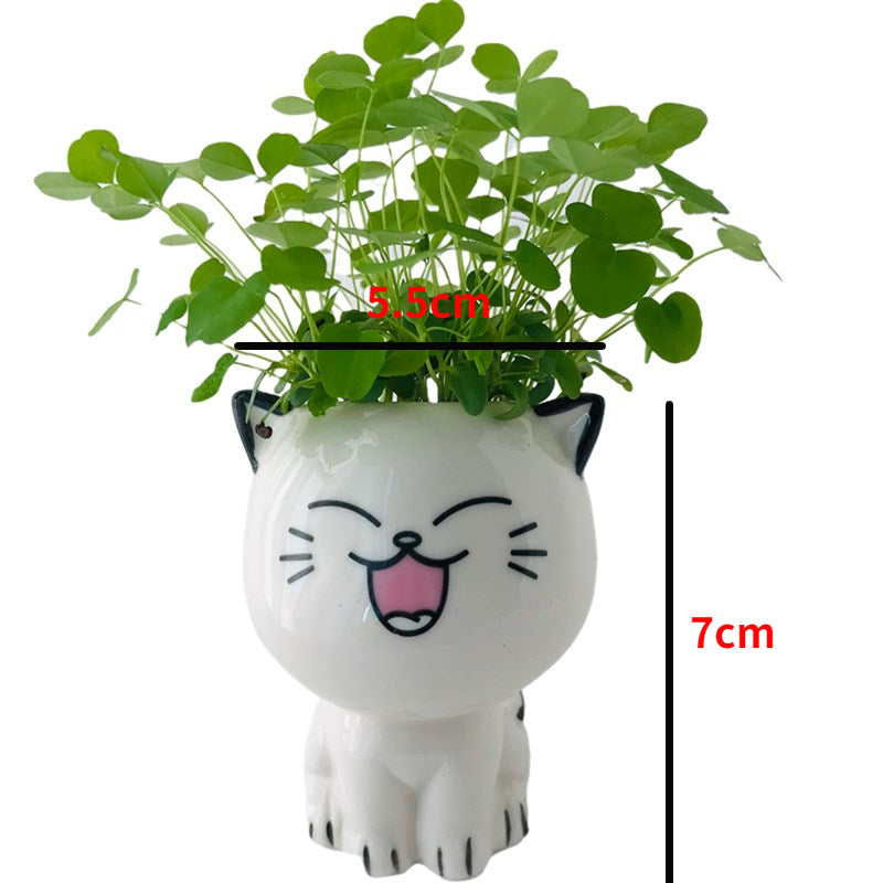 Kawaii Ceramic Cat Planter - Mini Desktop Plant Pot