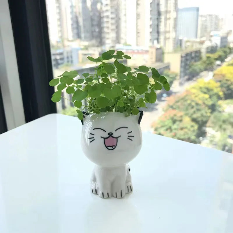 Kawaii Ceramic Cat Planter - Mini Desktop Plant Pot