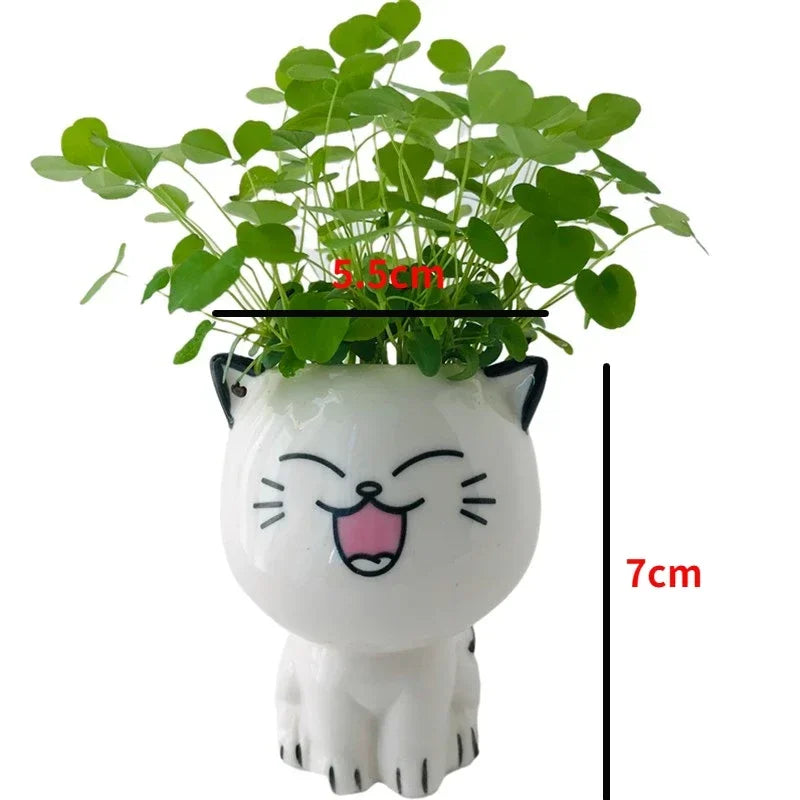 Kawaii Ceramic Cat Planter - Mini Desktop Plant Pot