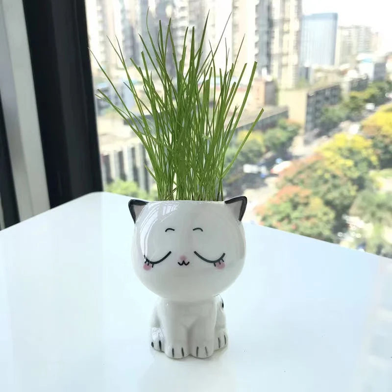 Kawaii Ceramic Cat Planter - Mini Desktop Plant Pot