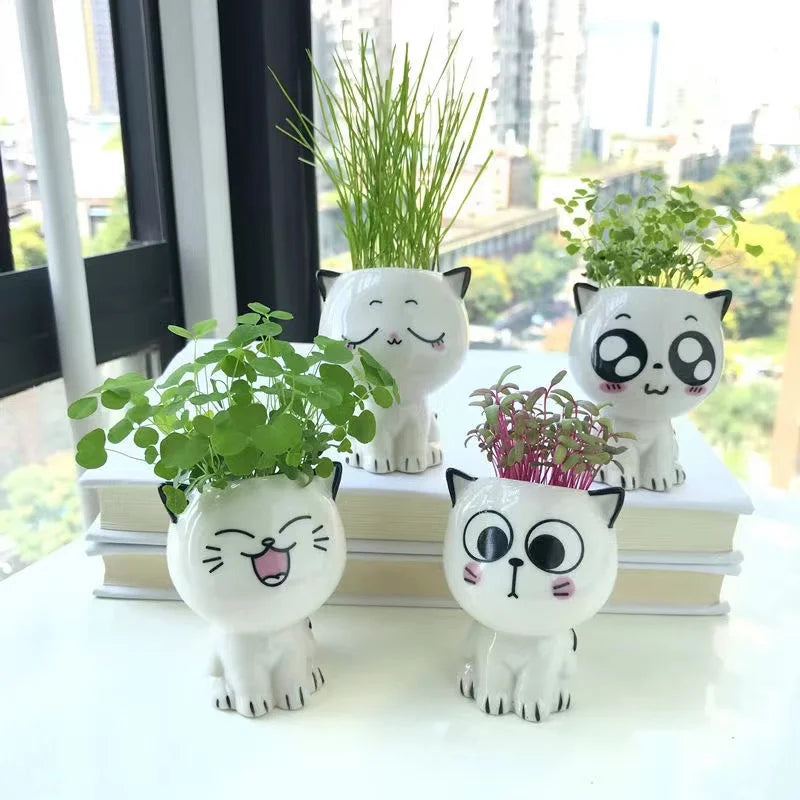 Kawaii Ceramic Cat Planter - Mini Desktop Plant Pot