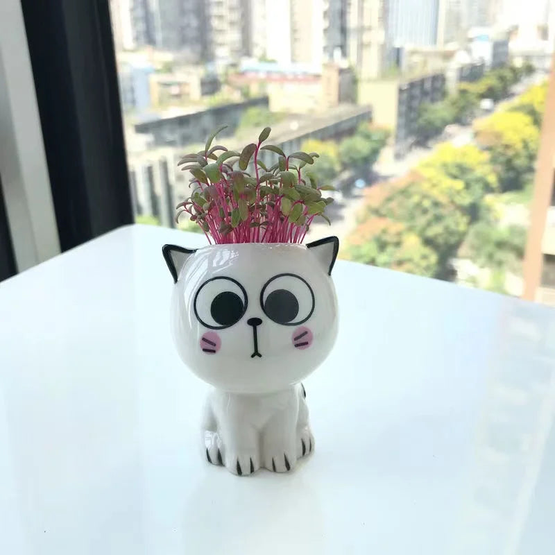 Kawaii Ceramic Cat Planter - Mini Desktop Plant Pot