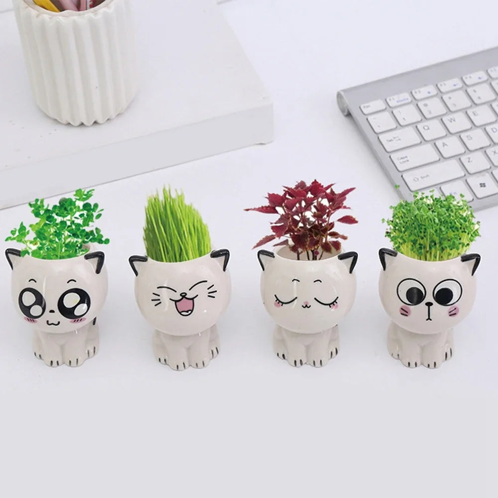 Kawaii Ceramic Cat Planter - Mini Desktop Plant Pot