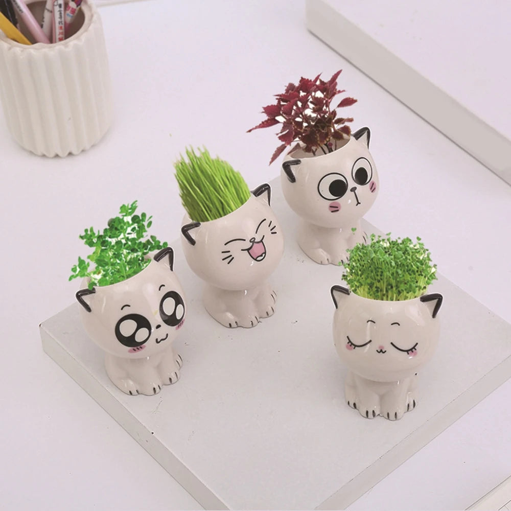Kawaii Ceramic Cat Planter - Mini Desktop Plant Pot