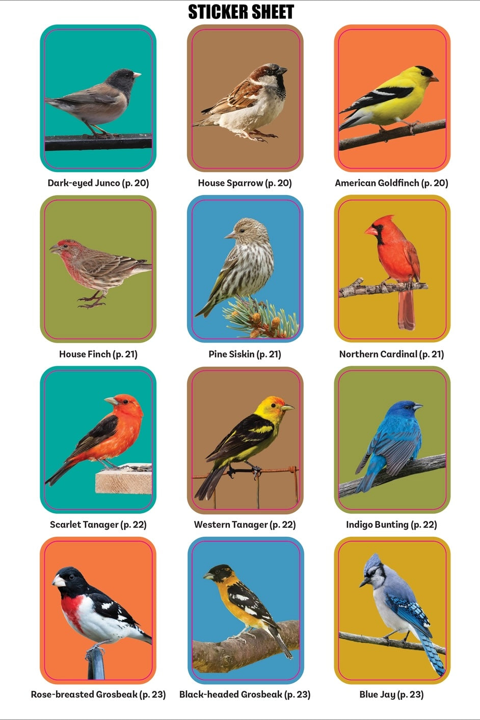 Birders Logbook Seek and Sticker Book for Budding Orinthologists - Tortuna