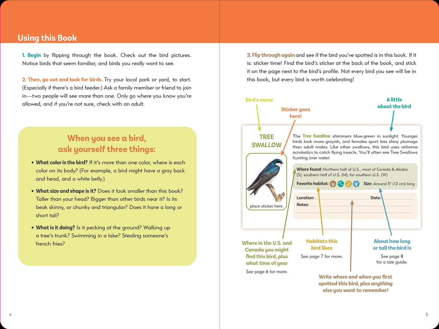 Birders Logbook Seek and Sticker Book for Budding Orinthologists - Tortuna